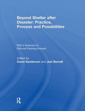 Beyond Shelter after Disaster: Practice, Process and Possibilities de David S. Anderson