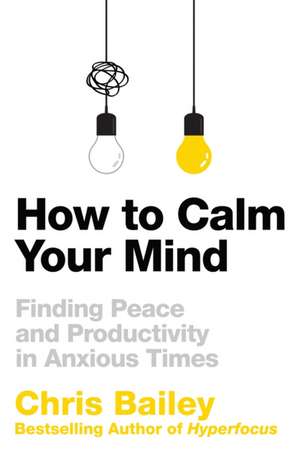 How to Calm Your Mind de Chris Bailey