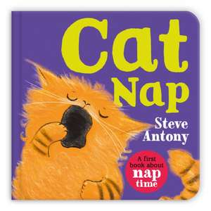 Cat Nap de Steve Antony