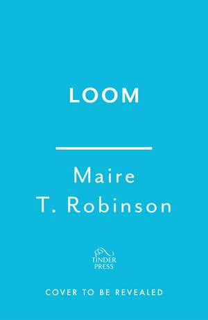 Loom Street de Máire T. Robinson