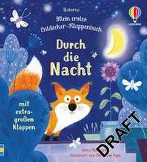 Mein erstes Entdecker-Klappenbuch: Durch die Nacht de Anna Milbourne