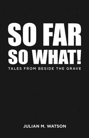 So Far So What! de Julian M. Watson