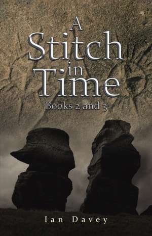 A Stitch in Time de Ian Davey
