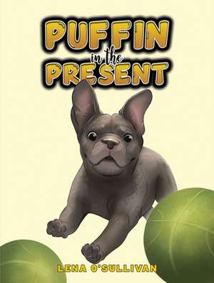 Puffin in the Present de Lena O'Sullivan