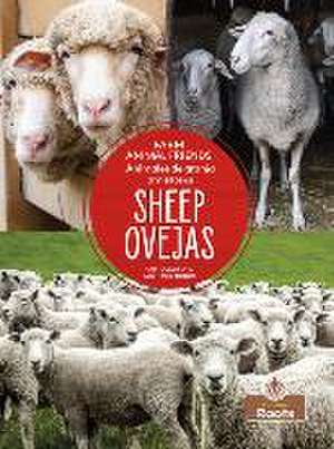 Ovejas (Sheep) Bilingual Eng/Spa de Amy Culliford