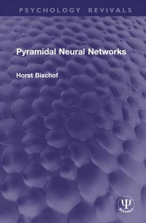 Pyramidal Neural Networks de Horst Bischof