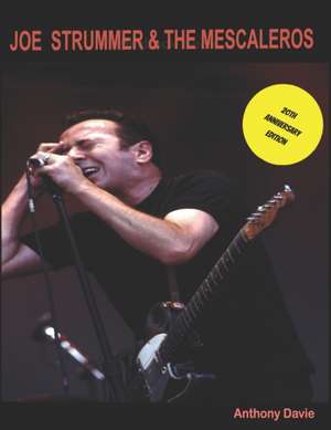 Joe Strummer & The Mescaleros de Anthony Davie