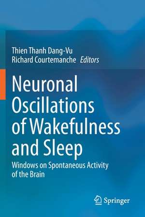 Neuronal Oscillations of Wakefulness and Sleep: Windows on Spontaneous Activity of the Brain de Thien Thanh Dang-Vu