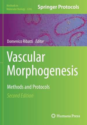 Vascular Morphogenesis: Methods and Protocols de Domenico Ribatti