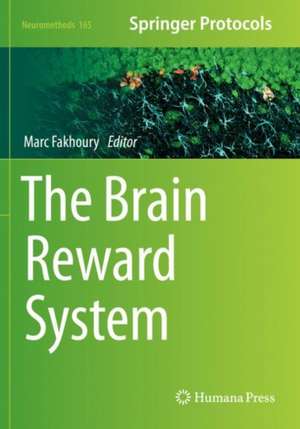 The Brain Reward System de Marc Fakhoury