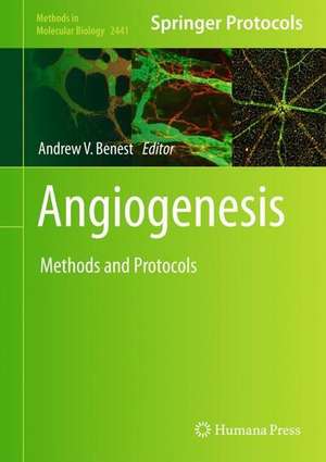 Angiogenesis de Andrew V. Benest