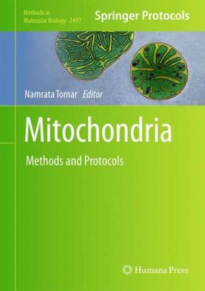 Mitochondria: Methods and Protocols de Namrata Tomar