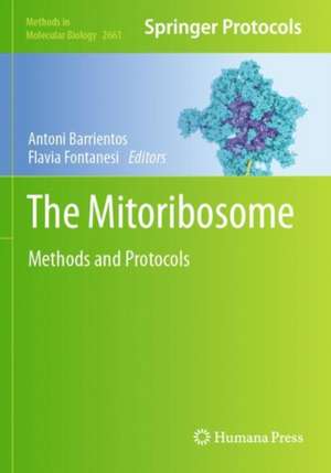 The Mitoribosome de Antoni Barrientos