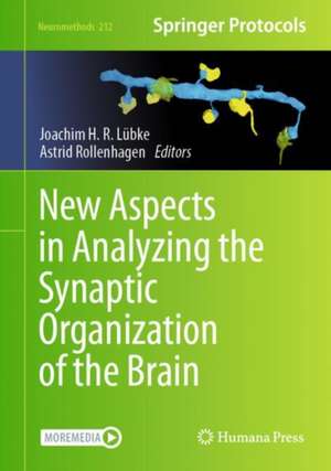 New Aspects in Analyzing the Synaptic Organization of the Brain de Joachim Lübke