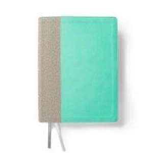 CSB Lifeway Women's Bible, Gray/Mint Leathertouch de Csb Bibles By Holman