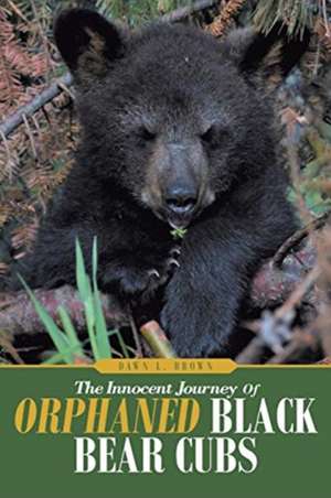 The Innocent Journey of Orphaned Black Bear Cubs de Dawn L. Brown