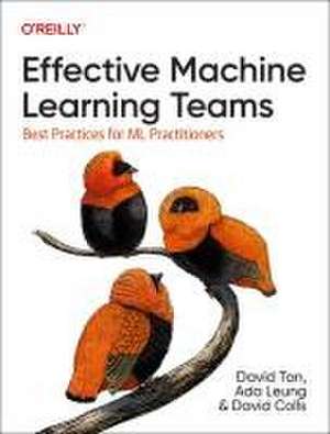 Effective Machine Learning Teams de David Tan