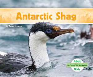 Antarctic Shag de Grace Hansen