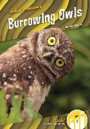 Burrowing Owls de Julie Murray