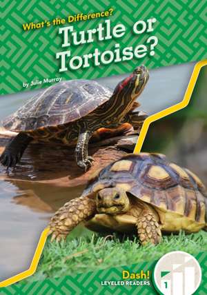 Turtle or Tortoise? de Julie Murray