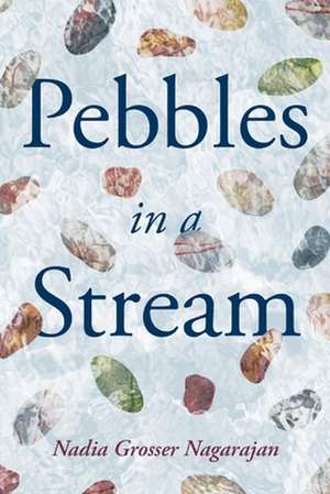 Pebbles in a Stream de Nadia Grosser Nagarajan