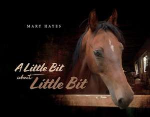 A Little Bit about Little Bit de Mary Hayes