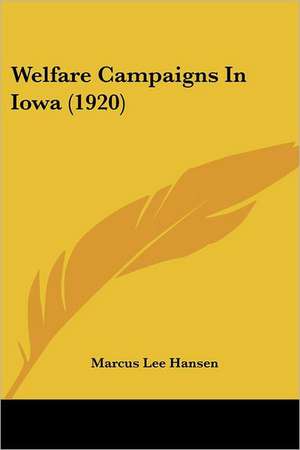 Welfare Campaigns In Iowa (1920) de Marcus Lee Hansen