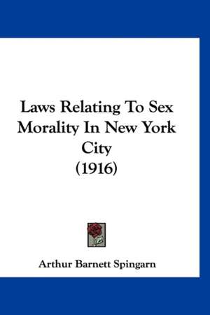 Laws Relating To Sex Morality In New York City (1916) de Arthur Barnett Spingarn