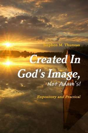 Created in God's Image, Not Adam's! de Stephen Thurstan