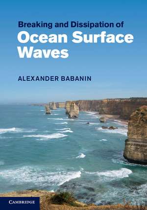 Breaking and Dissipation of Ocean Surface Waves de Alexander Babanin