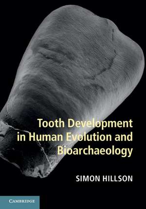 Tooth Development in Human Evolution and Bioarchaeology de Simon Hillson