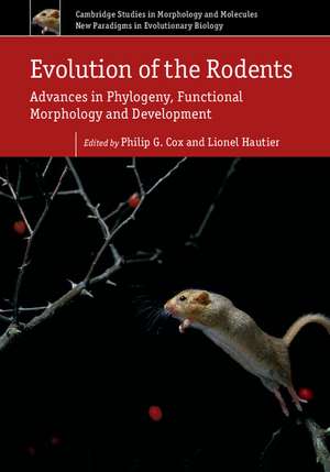 Evolution of the Rodents: Volume 5: Advances in Phylogeny, Functional Morphology and Development de Philip G. Cox