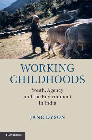 Working Childhoods: Youth, Agency and the Environment in India de Jane Dyson