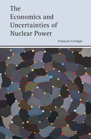 The Economics and Uncertainties of Nuclear Power de François Lévêque