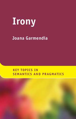 Irony de Joana Garmendia