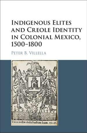 Indigenous Elites and Creole Identity in Colonial Mexico, 1500–1800 de Peter B. Villella