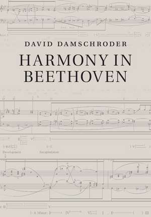 Harmony in Beethoven de David Damschroder