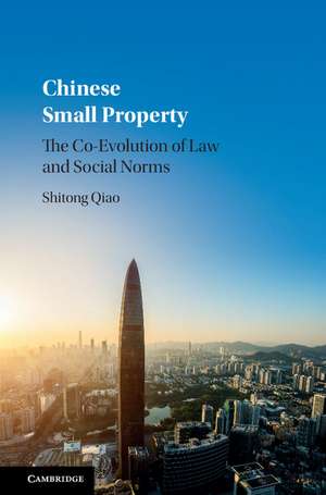 Chinese Small Property: The Co-Evolution of Law and Social Norms de Shitong Qiao