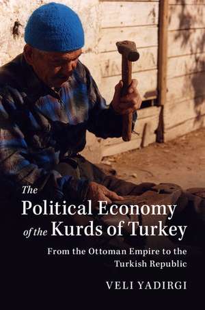 The Political Economy of the Kurds of Turkey: From the Ottoman Empire to the Turkish Republic de Veli Yadirgi