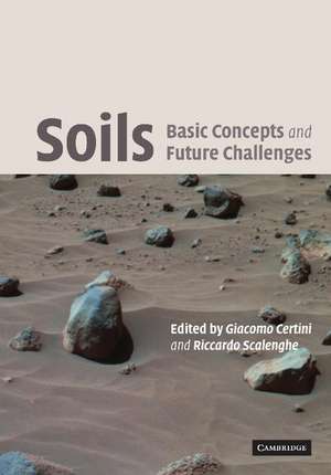 Soils: Basic Concepts and Future Challenges de Giacomo Certini