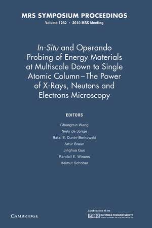 In-Situ and Operando Probing of Energy Materials at Multiscale Down to Single Atomic Column - The Power of X-Rays, Neutrons and Electron Microscopy: Volume 1262 de Chongmin Wang