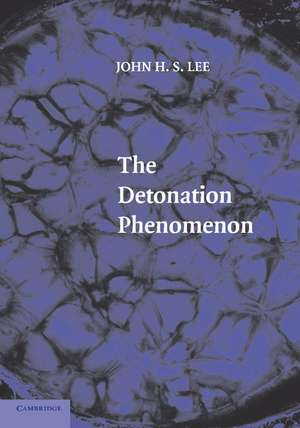 The Detonation Phenomenon de John H. S. Lee