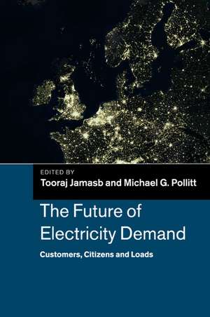 The Future of Electricity Demand: Customers, Citizens and Loads de Tooraj Jamasb