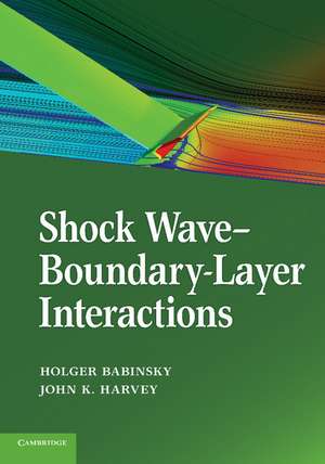 Shock Wave-Boundary-Layer Interactions de Holger Babinsky