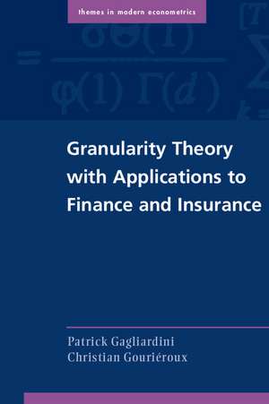 Granularity Theory with Applications to Finance and Insurance de Patrick Gagliardini