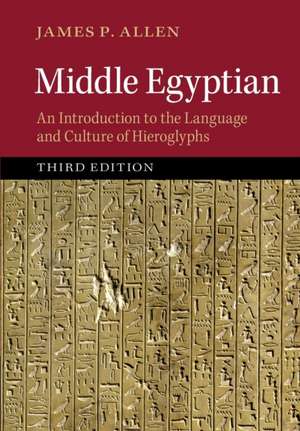 Middle Egyptian: An Introduction to the Language and Culture of Hieroglyphs de James P. Allen