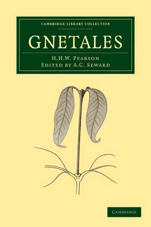 Gnetales de H. H. W. Pearson