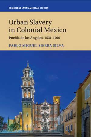 Urban Slavery in Colonial Mexico: Puebla de los Ángeles, 1531–1706 de Pablo Miguel Sierra Silva