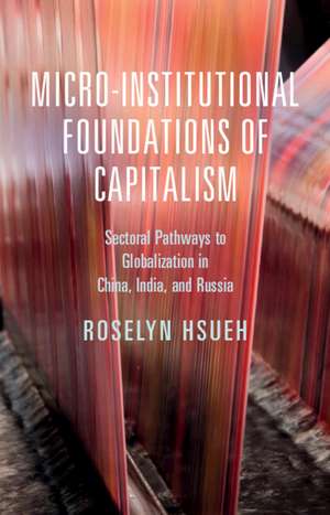 Micro-institutional Foundations of Capitalism de Roselyn Hsueh