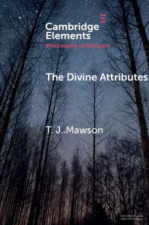 The Divine Attributes de T. J. Mawson